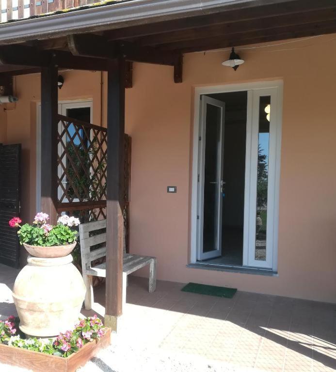 Belloretta دونوراتيكو المظهر الخارجي الصورة